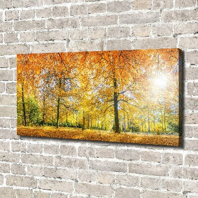 Tableau imprimé sur toile Forêt d'automne