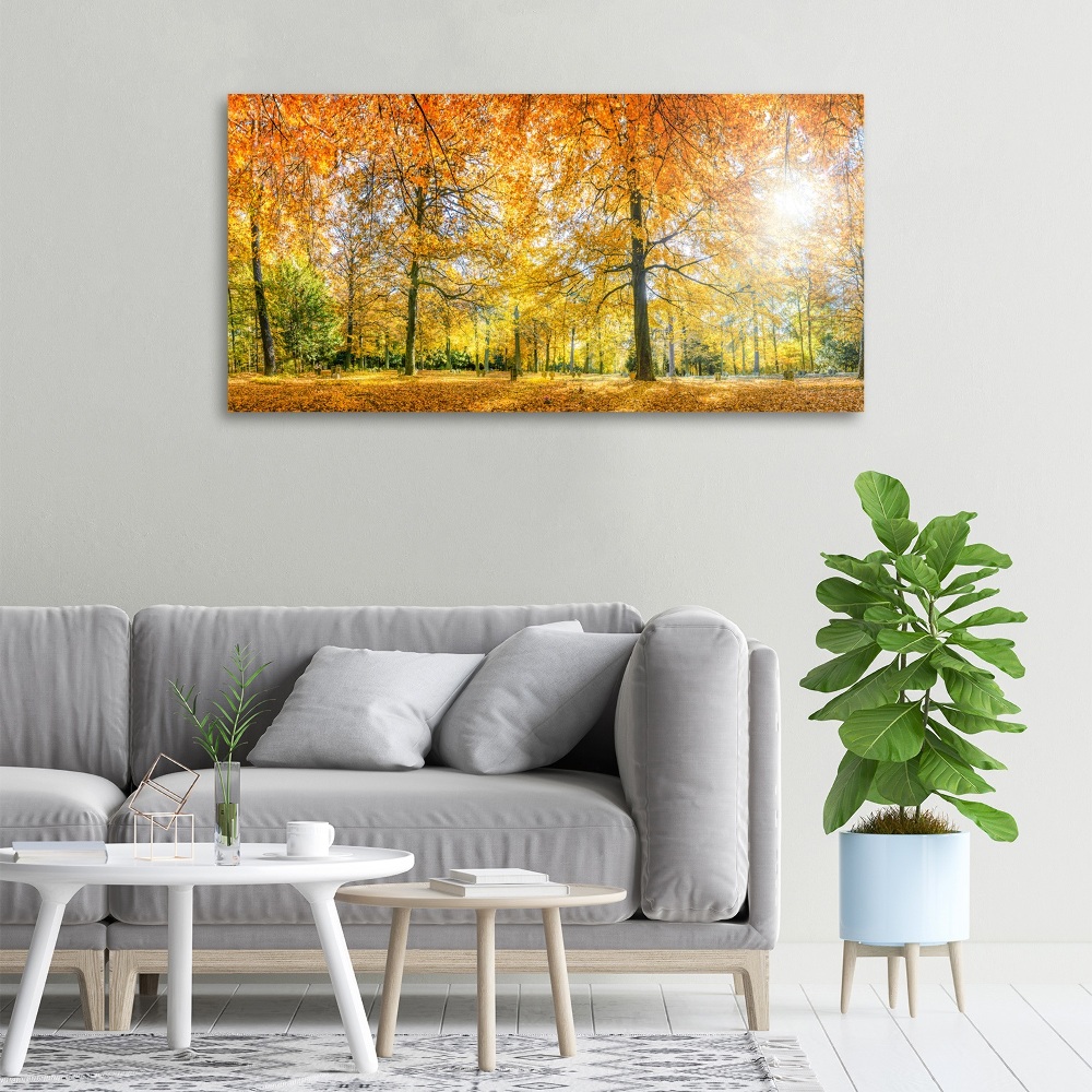 Tableau imprimé sur toile Forêt d'automne