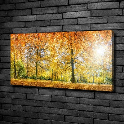 Tableau imprimé sur toile Forêt d'automne