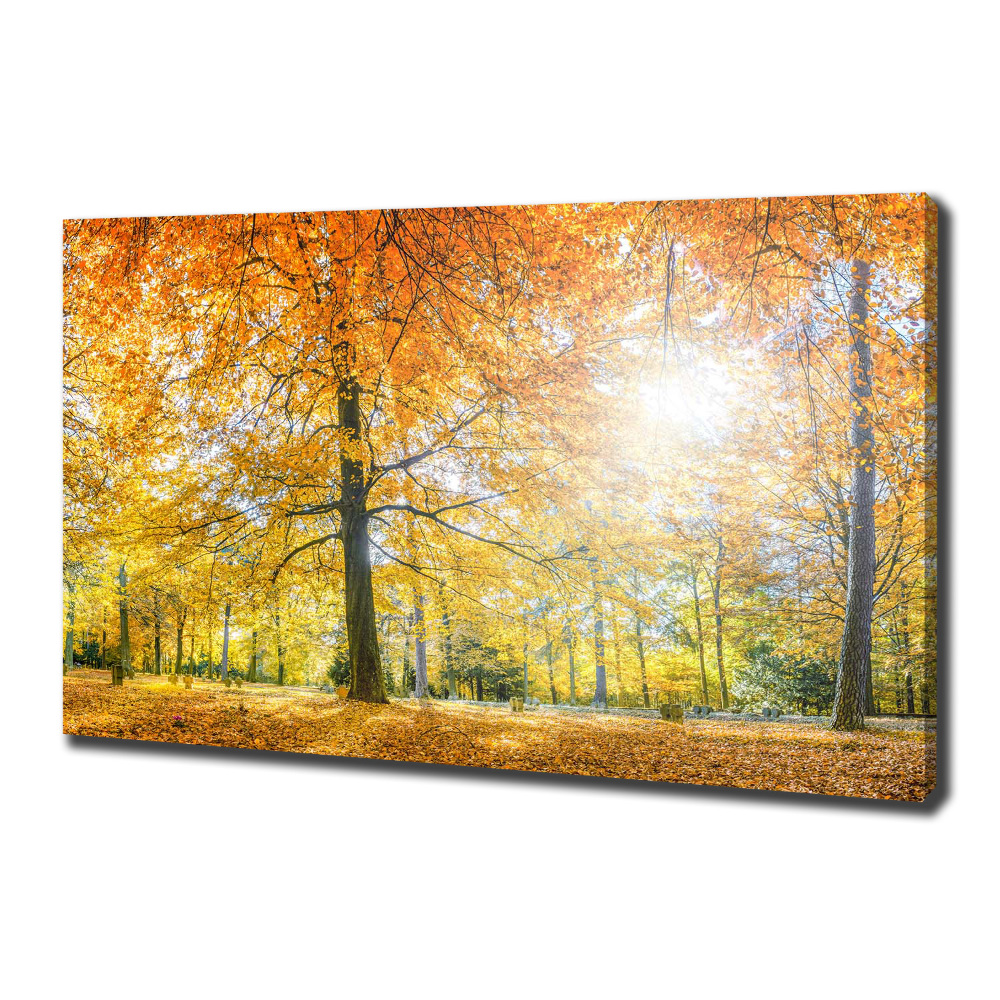 Tableau imprimé sur toile Forêt d'automne