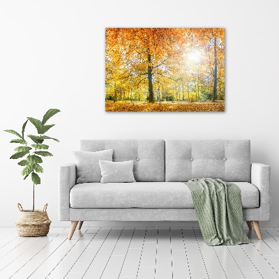 Tableau imprimé sur toile Forêt d'automne