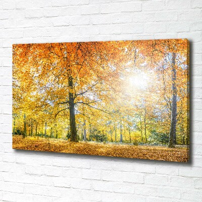 Tableau imprimé sur toile Forêt d'automne