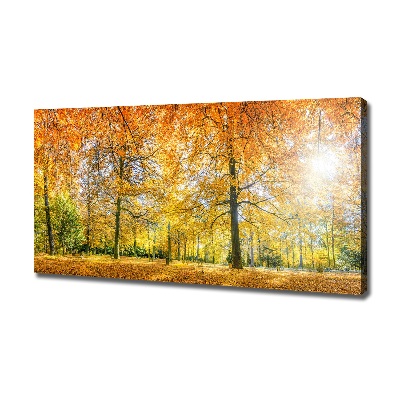 Tableau imprimé sur toile Forêt d'automne