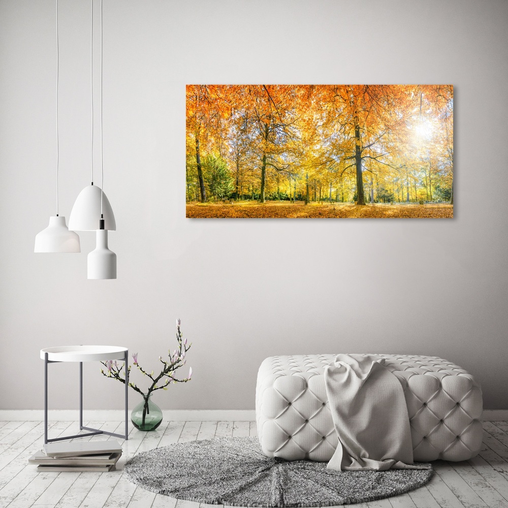 Tableau imprimé sur toile Forêt d'automne