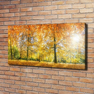 Tableau imprimé sur toile Forêt d'automne