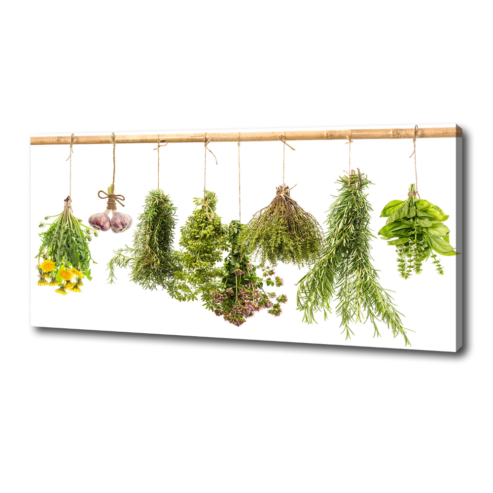 Tableau toile imprimée Herbes sur une ficelle