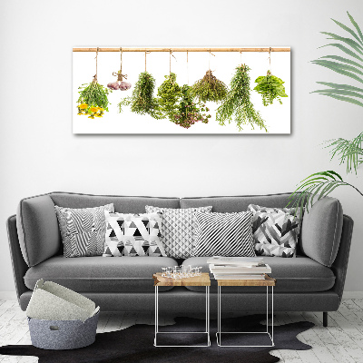 Tableau toile imprimée Herbes sur une ficelle