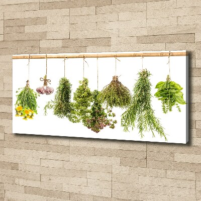 Tableau toile imprimée Herbes sur une ficelle