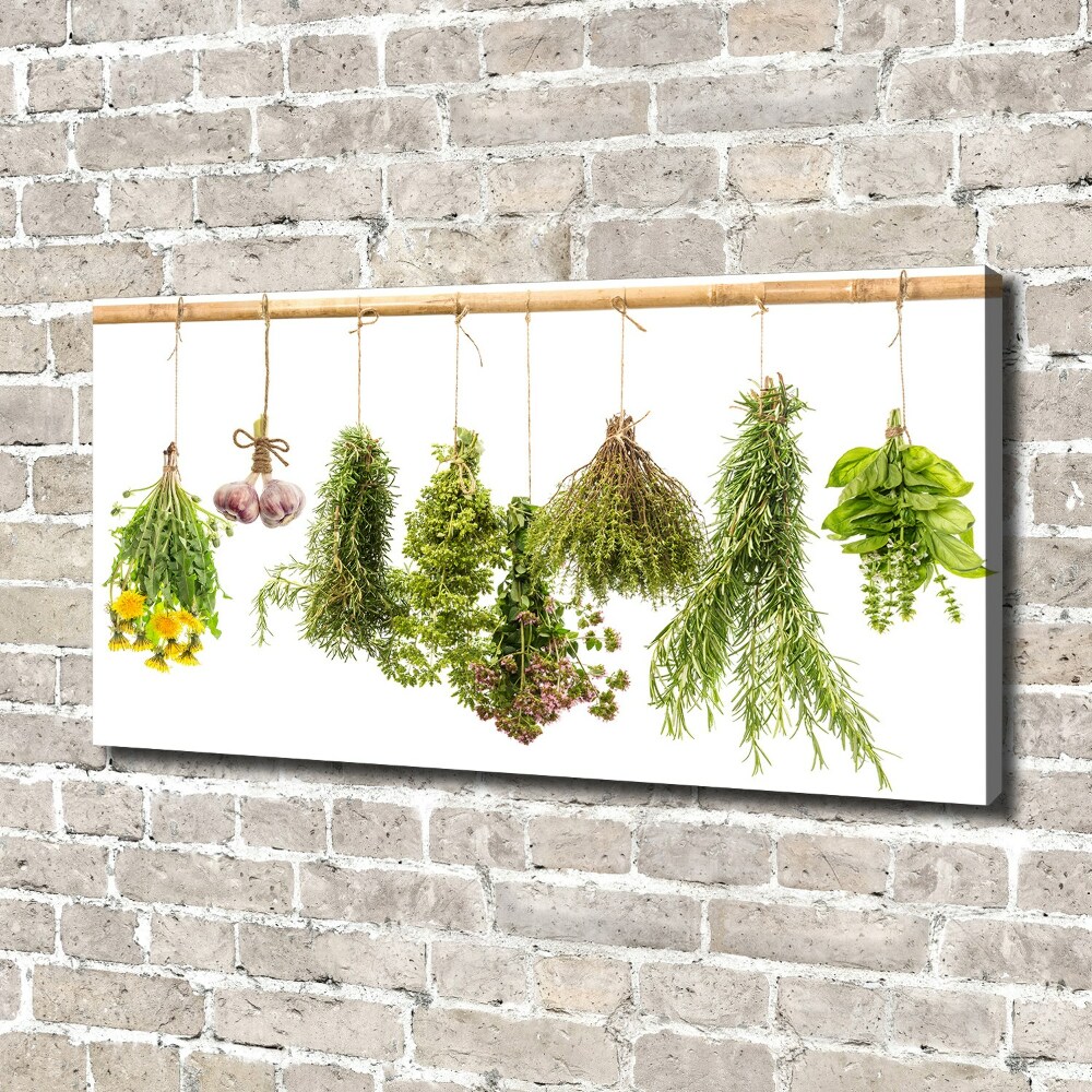 Tableau toile imprimée Herbes sur une ficelle