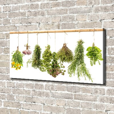 Tableau toile imprimée Herbes sur une ficelle