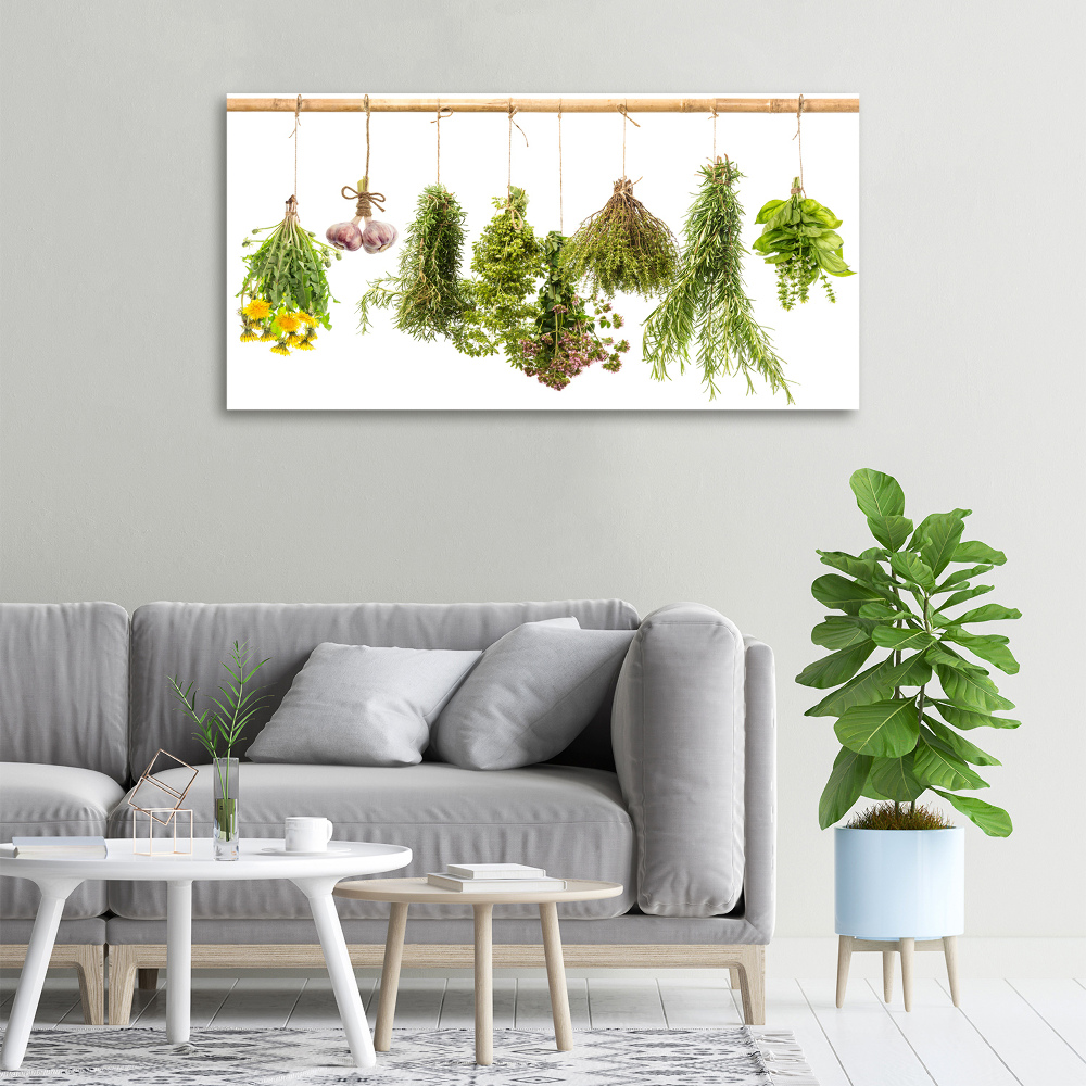 Tableau toile imprimée Herbes sur une ficelle