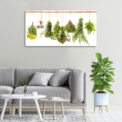 Tableau toile imprimée Herbes sur une ficelle