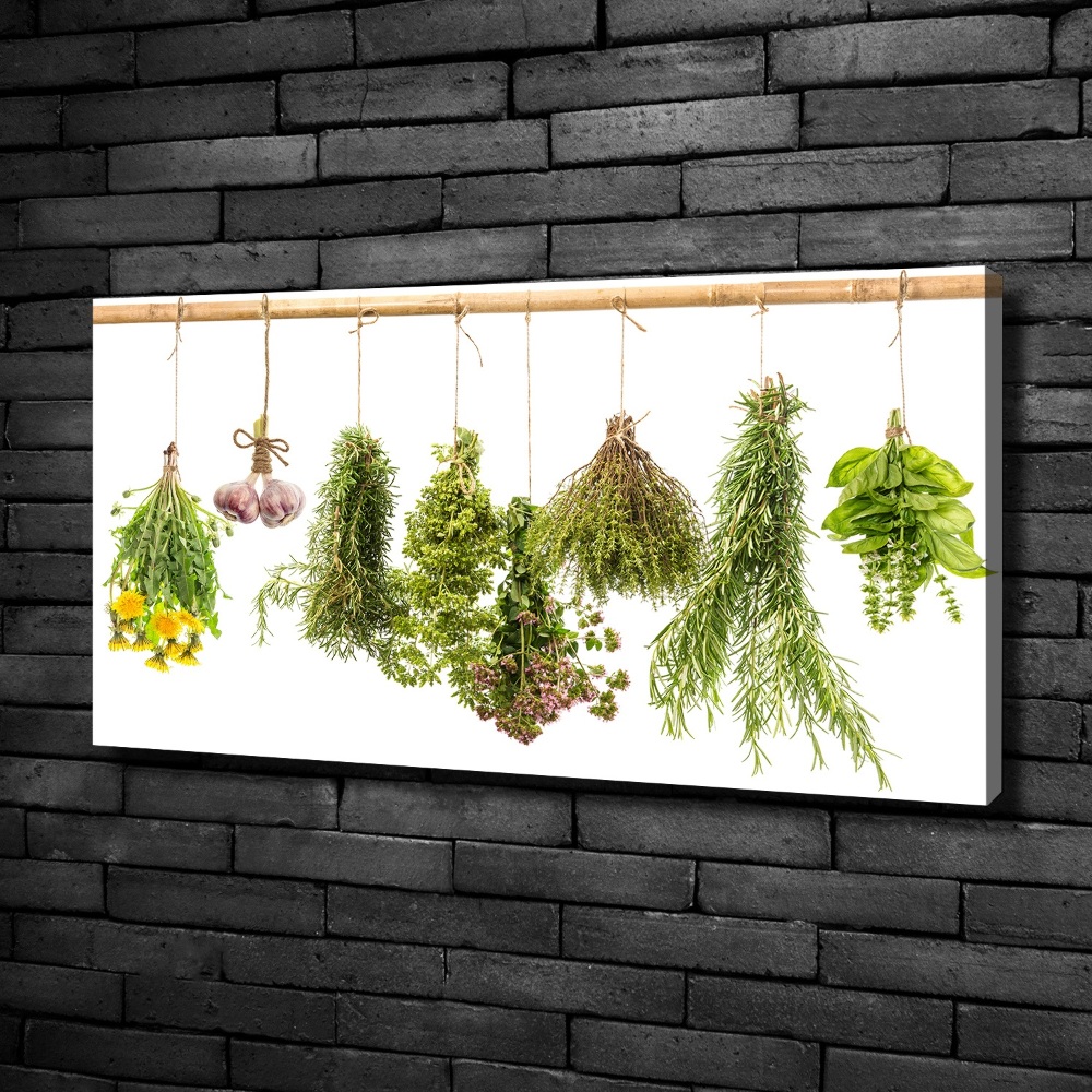 Tableau toile imprimée Herbes sur une ficelle