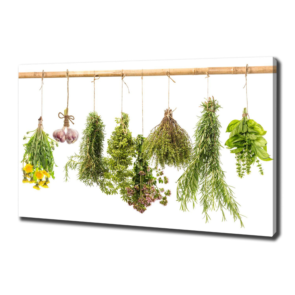 Tableau toile imprimée Herbes sur une ficelle