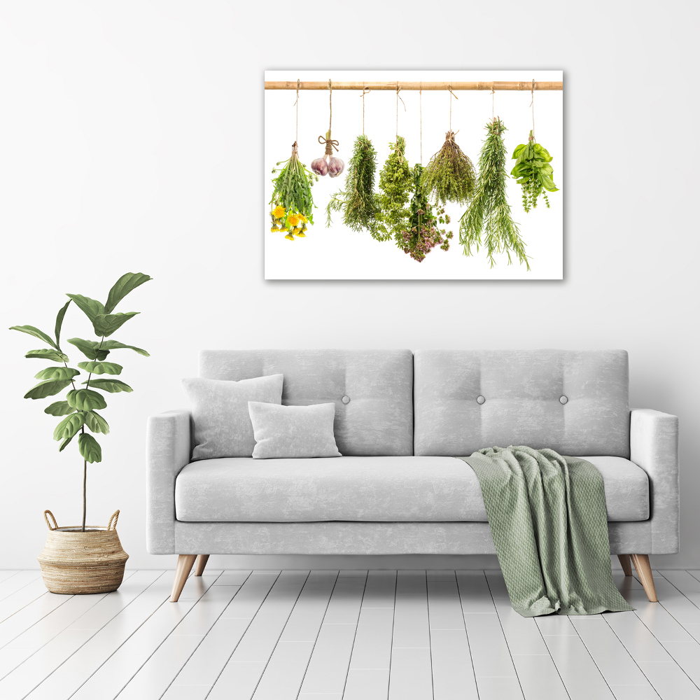 Tableau toile imprimée Herbes sur une ficelle