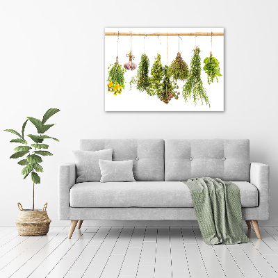 Tableau toile imprimée Herbes sur une ficelle