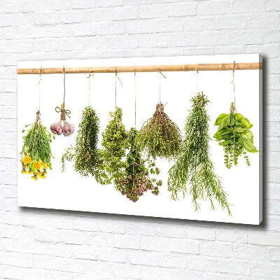 Tableau toile imprimée Herbes sur une ficelle