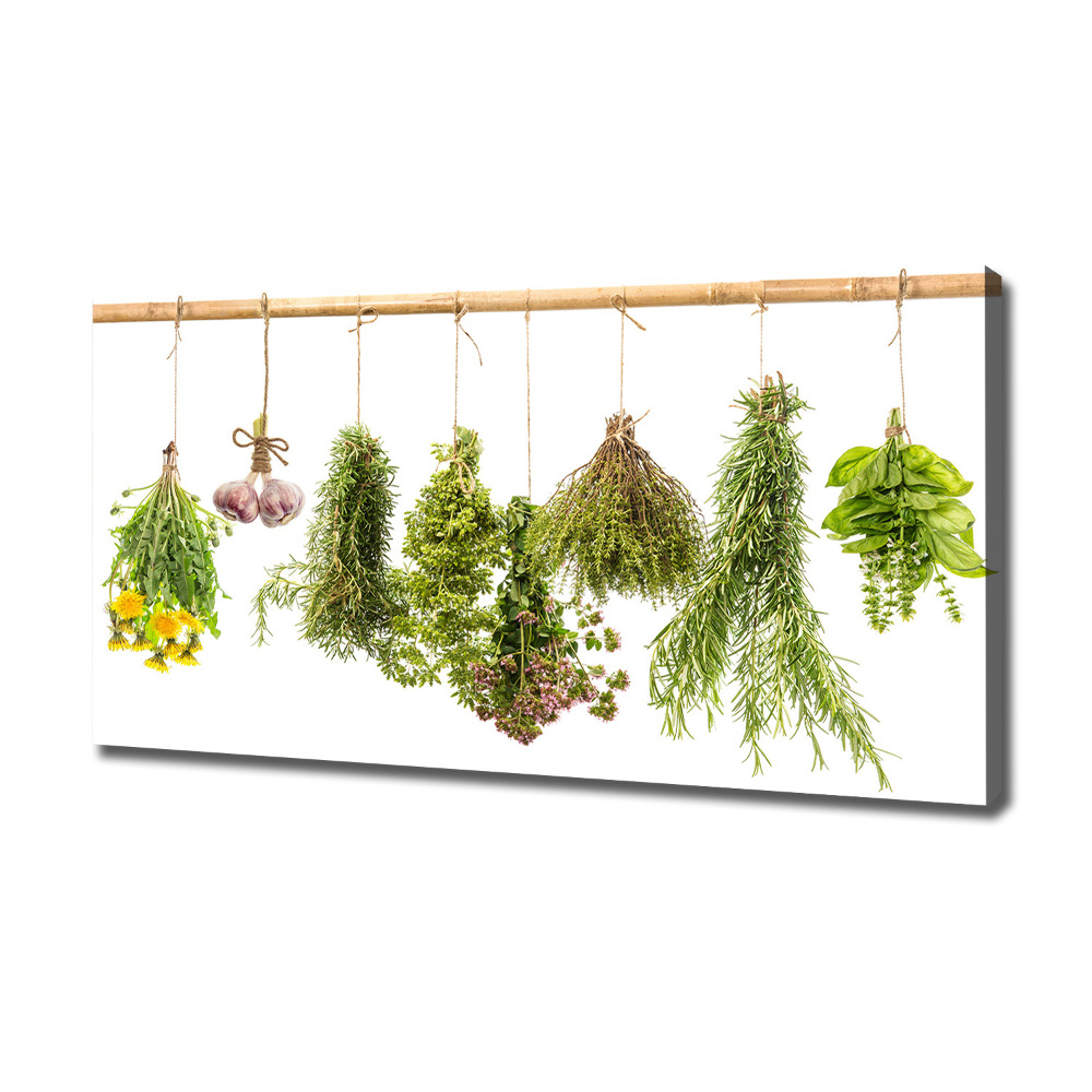 Tableau toile imprimée Herbes sur une ficelle