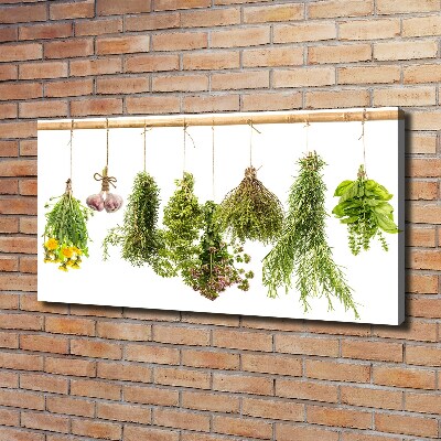 Tableau toile imprimée Herbes sur une ficelle