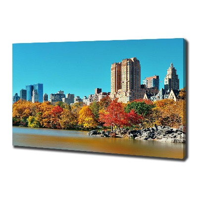 Tableau sur toile New York City en automne