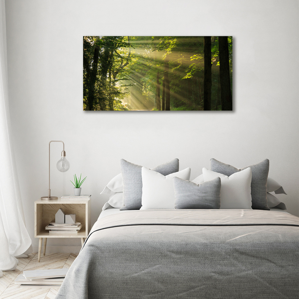 Tableau imprimé sur toile La forêt sous le soleil