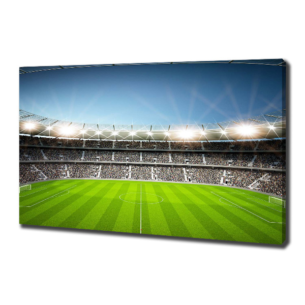 Tableau photo sur toile Stade