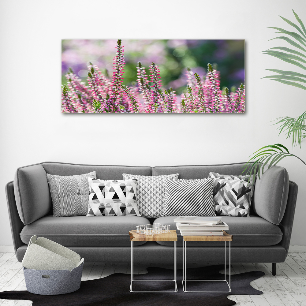 Tableau sur toile Fleurs de bruyère