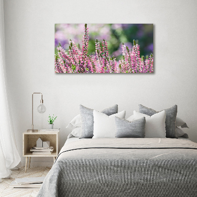 Tableau sur toile Fleurs de bruyère