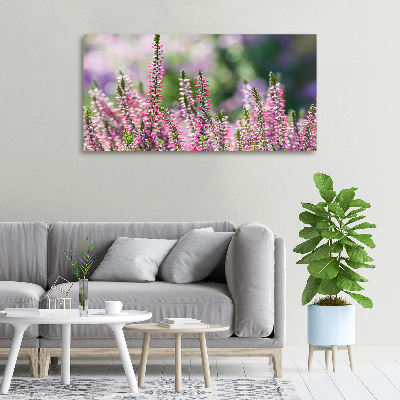 Tableau sur toile Fleurs de bruyère