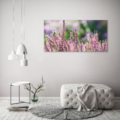 Tableau sur toile Fleurs de bruyère