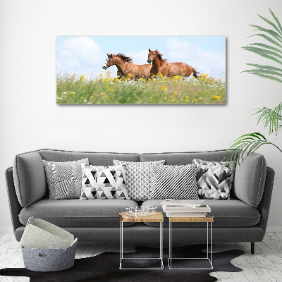 Tableau photo sur toile Deux chevaux au galop