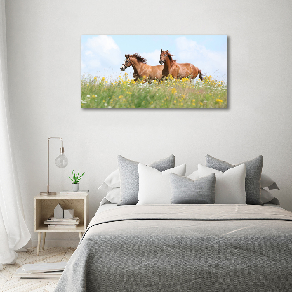 Tableau photo sur toile Deux chevaux au galop