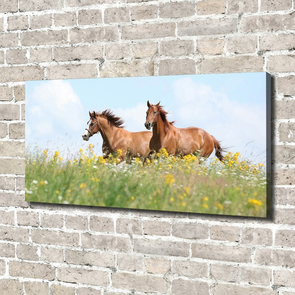 Tableau photo sur toile Deux chevaux au galop