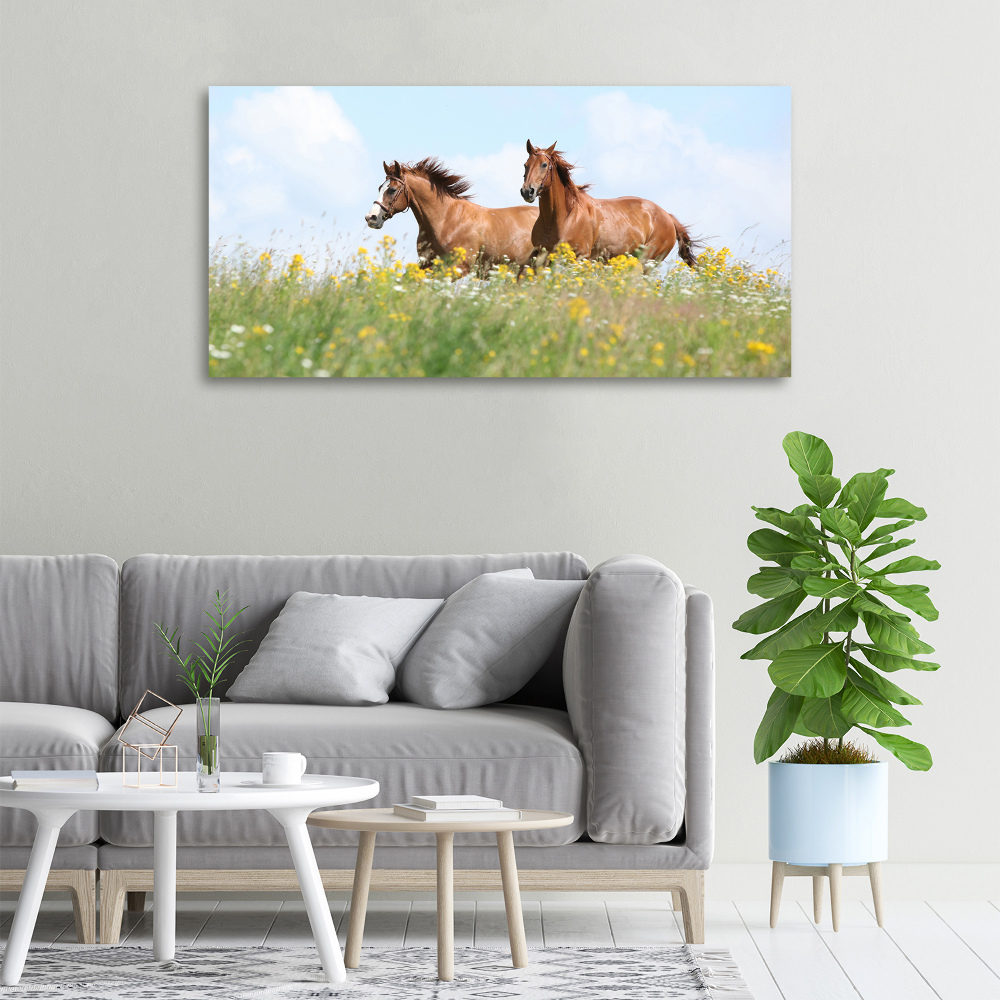 Tableau photo sur toile Deux chevaux au galop