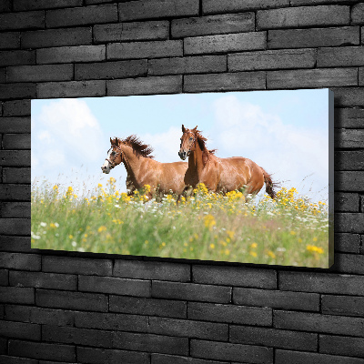 Tableau photo sur toile Deux chevaux au galop