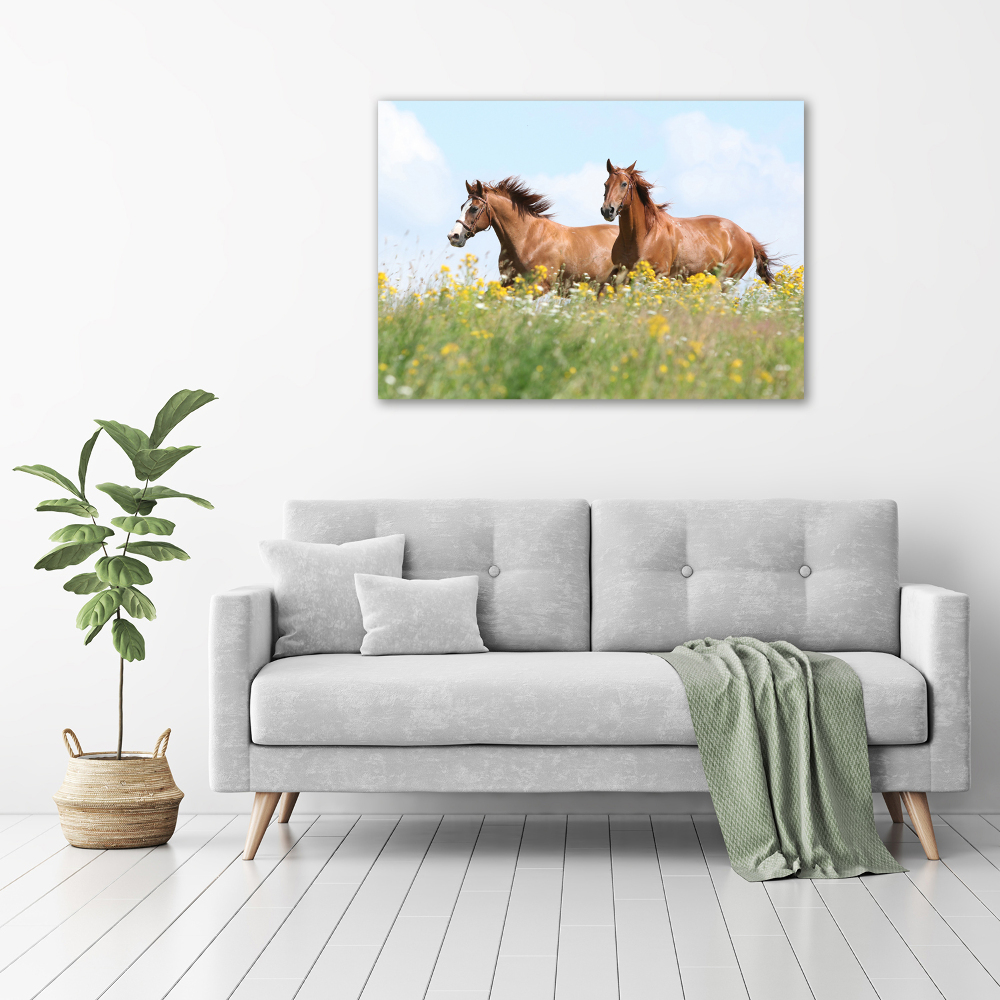 Tableau photo sur toile Deux chevaux au galop