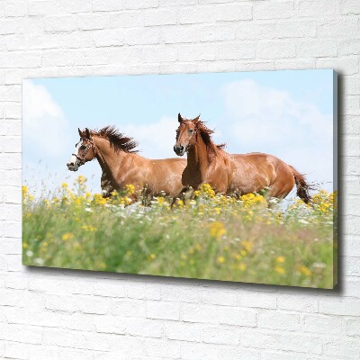 Tableau photo sur toile Deux chevaux au galop