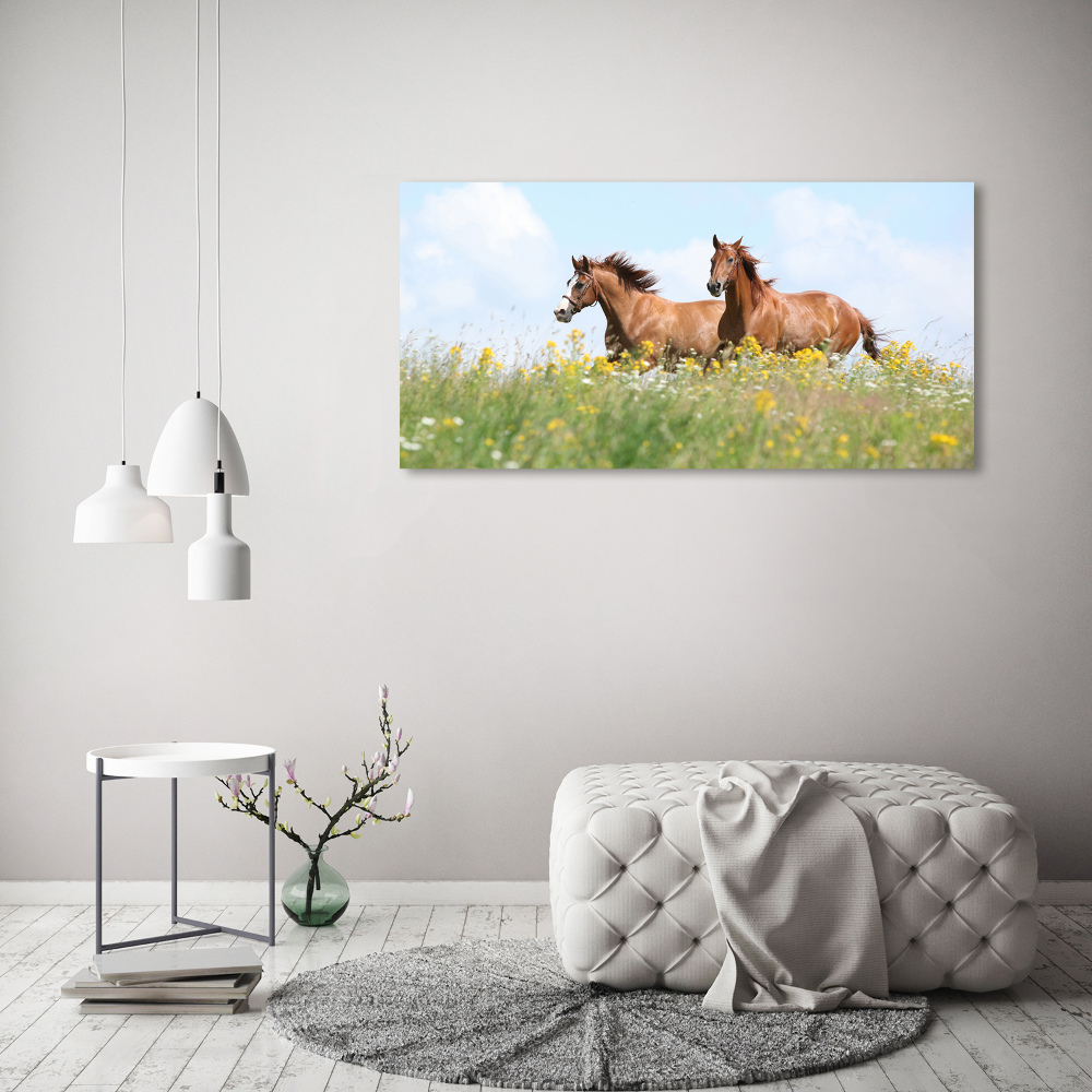 Tableau photo sur toile Deux chevaux au galop