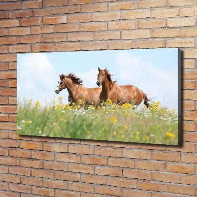 Tableau photo sur toile Deux chevaux au galop