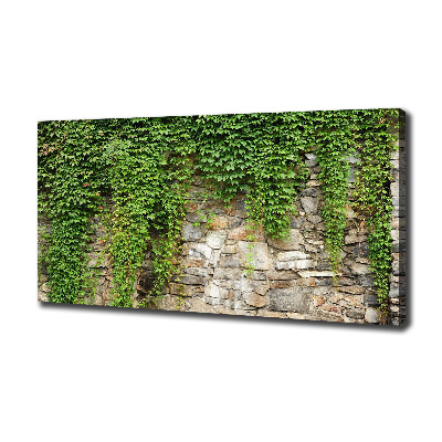 Tableau sur toile Lierre vert