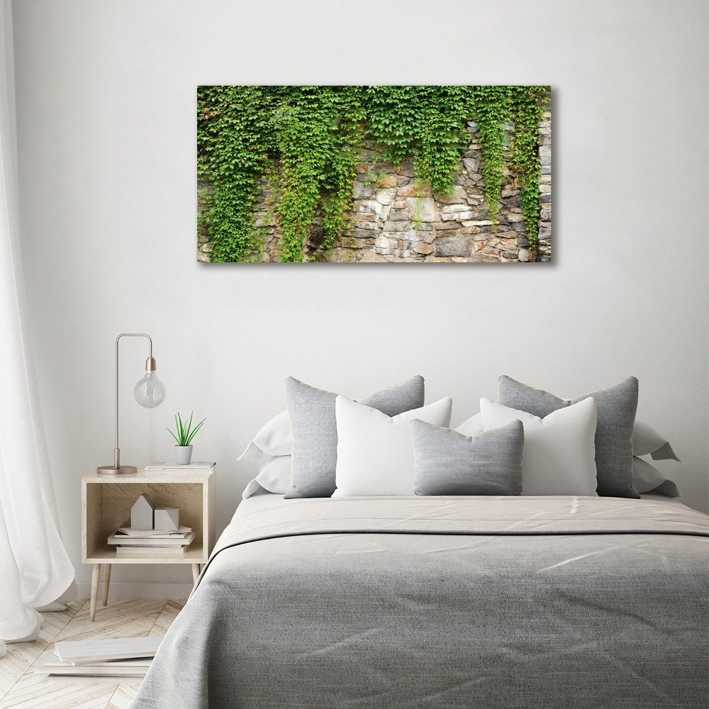 Tableau sur toile Lierre vert