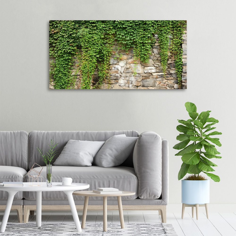 Tableau sur toile Lierre vert