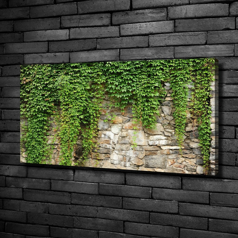 Tableau sur toile Lierre vert