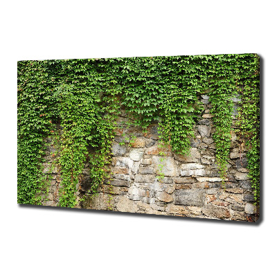 Tableau sur toile Lierre vert