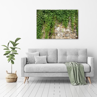 Tableau sur toile Lierre vert