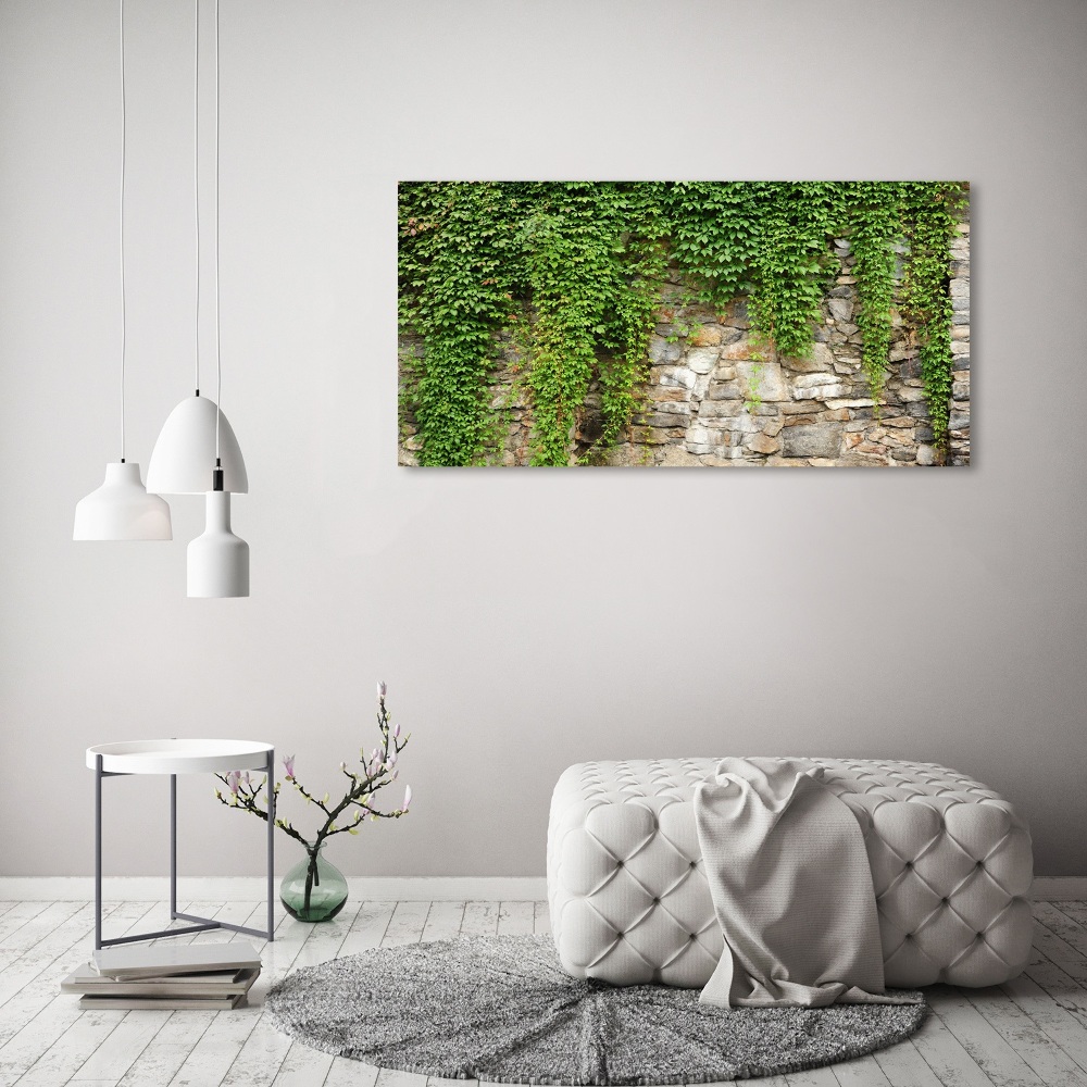 Tableau sur toile Lierre vert