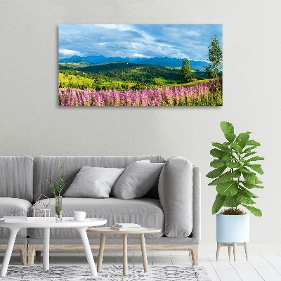 Tableau imprimé sur toile Lavande en montagne