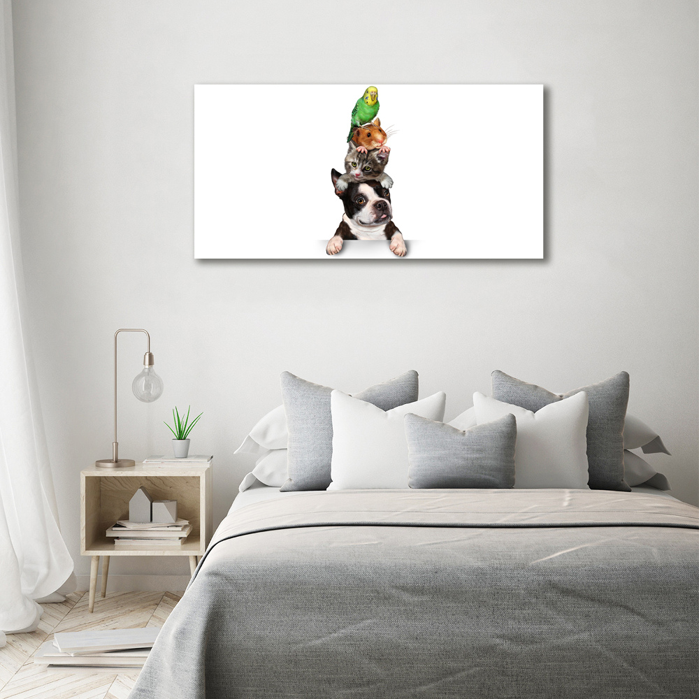 Tableau photo sur toile Groupe d'animaux