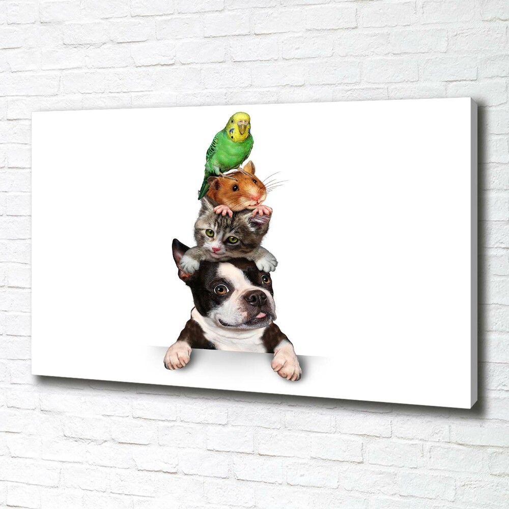 Tableau photo sur toile Groupe d'animaux