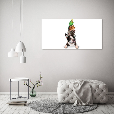 Tableau photo sur toile Groupe d'animaux